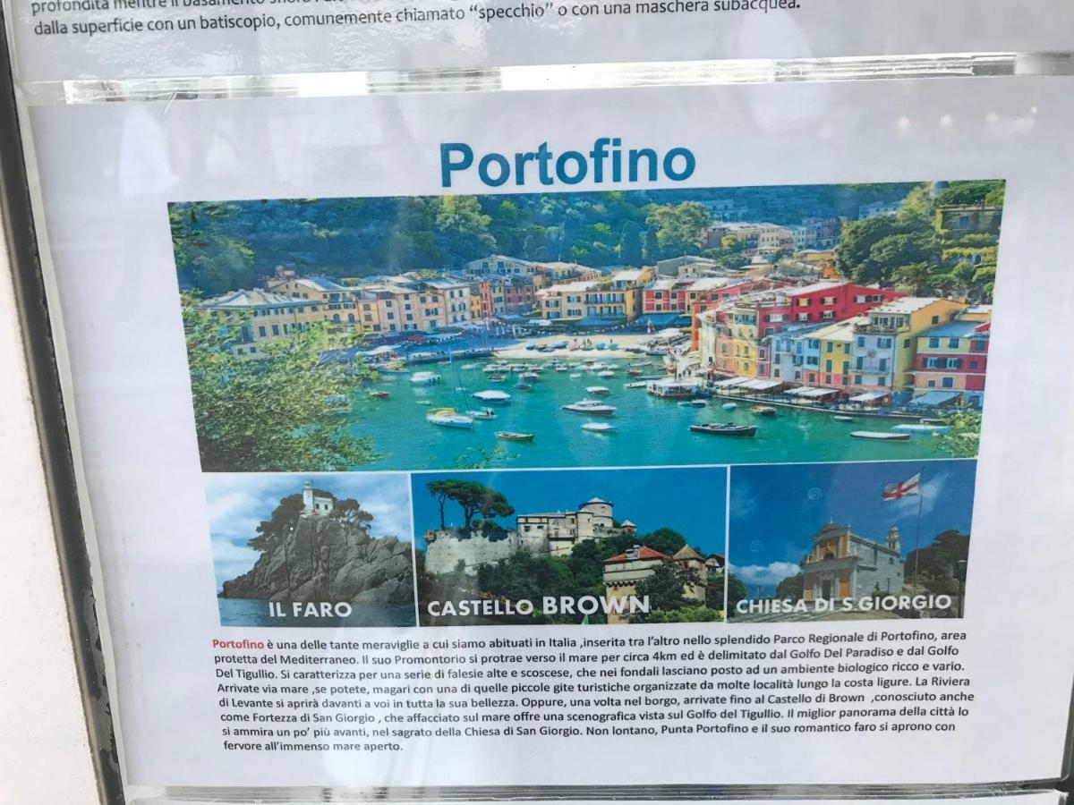 Polly Lägenhet Rapallo Exteriör bild
